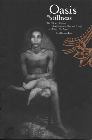 Oasis of Stillness book cover